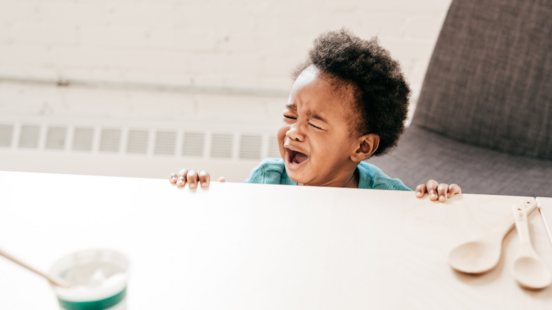 Why Your Toddler Refuses to Eat and What You Can Do Ashmi & Co.