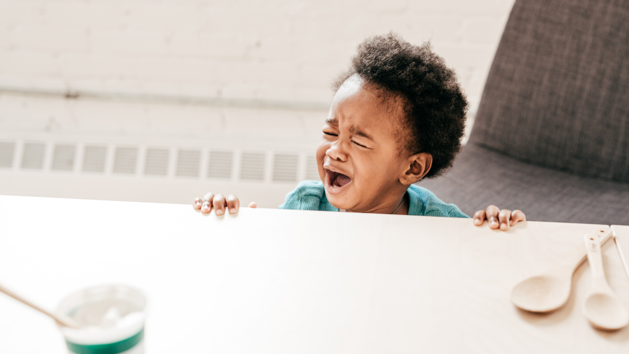 Why Your Toddler Refuses to Eat and What You Can Do   